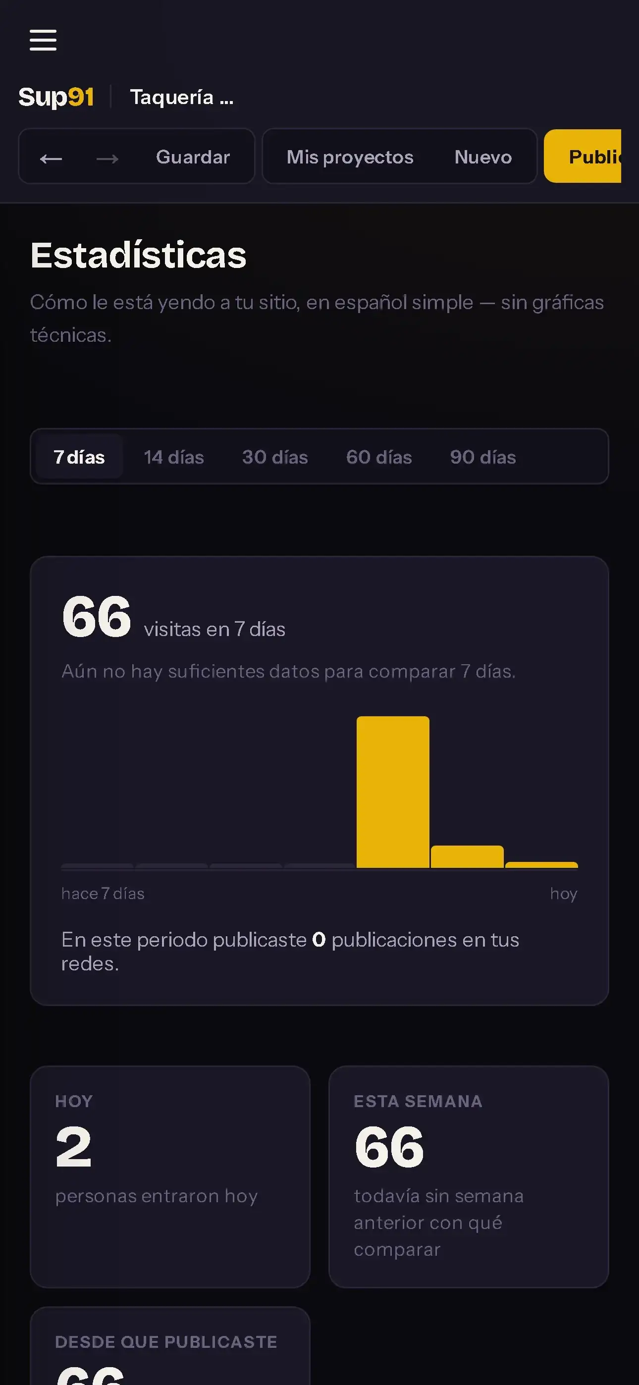 Pantalla de estadísticas de Sup91 mostrando visitas de hoy, de la semana y totales